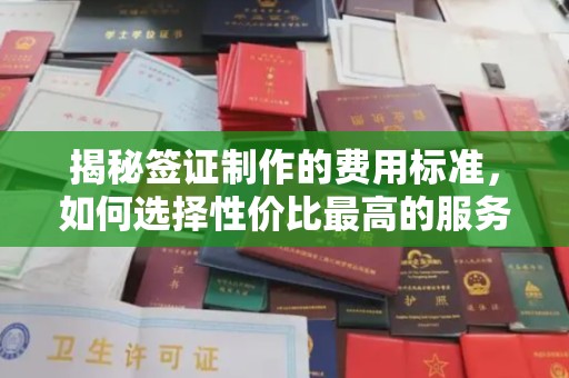 新郑揭秘签证制作的费用标准，如何选择性价比最高的服务？