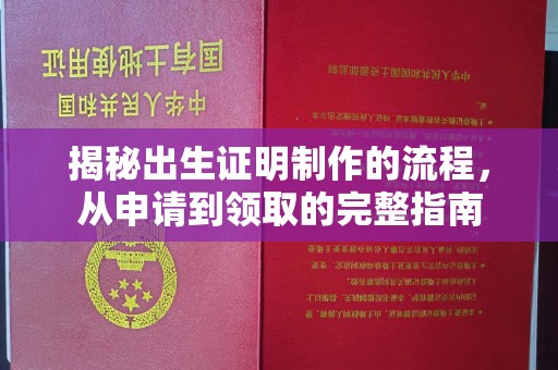 新郑揭秘出生证明制作的流程，从申请到领取的完整指南