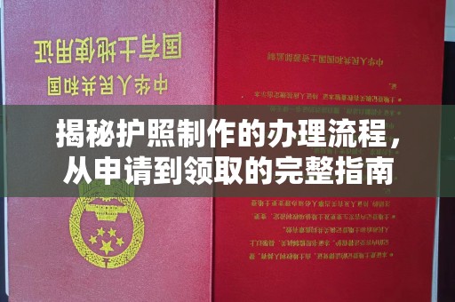 新郑揭秘护照制作的办理流程，从申请到领取的完整指南