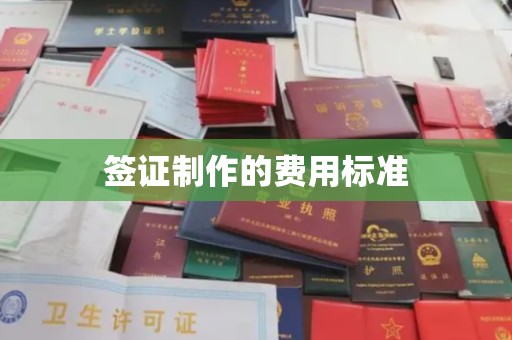 新郑签证制作的费用标准
