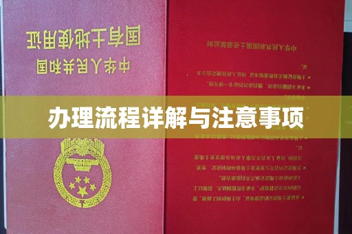 新郑办理流程详解与注意事项